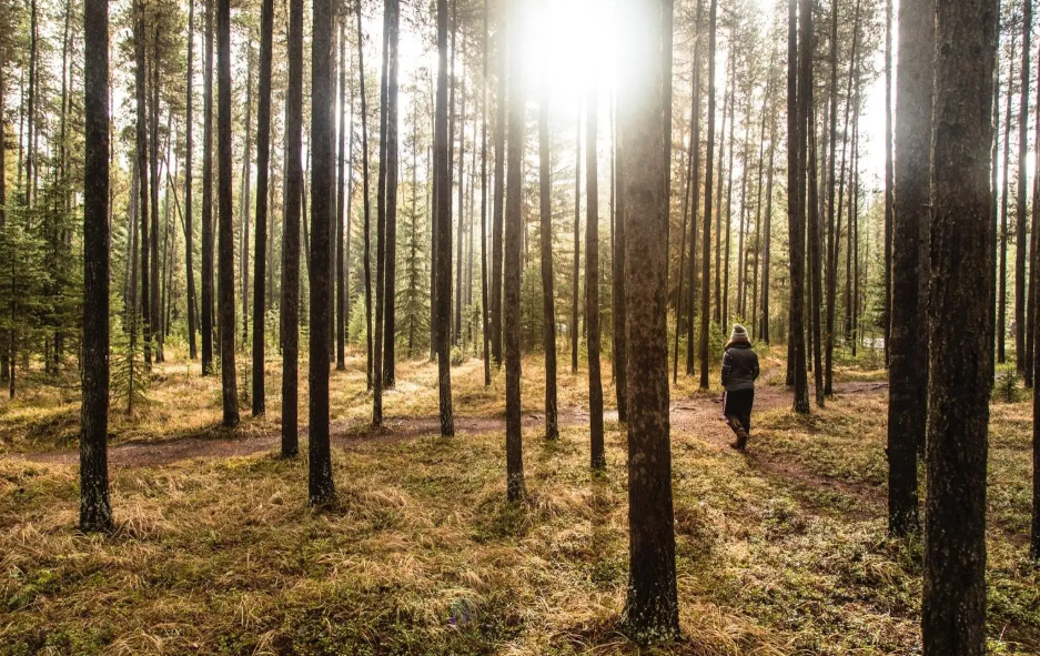 Walking With God Without Needing All the Answers