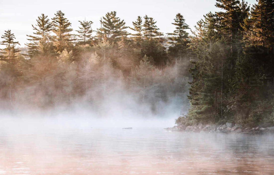 Why Death Isn’t the End and Why That Matters While We’re Alive