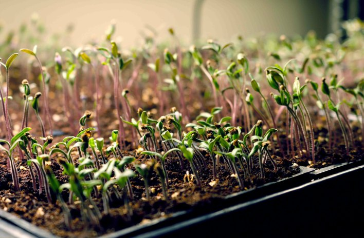 You Are Not Behind Even When Life Feels Slow